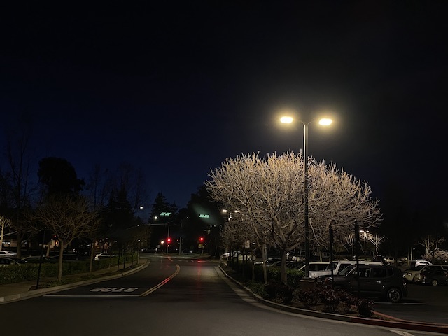 IMG_5324.jpeg