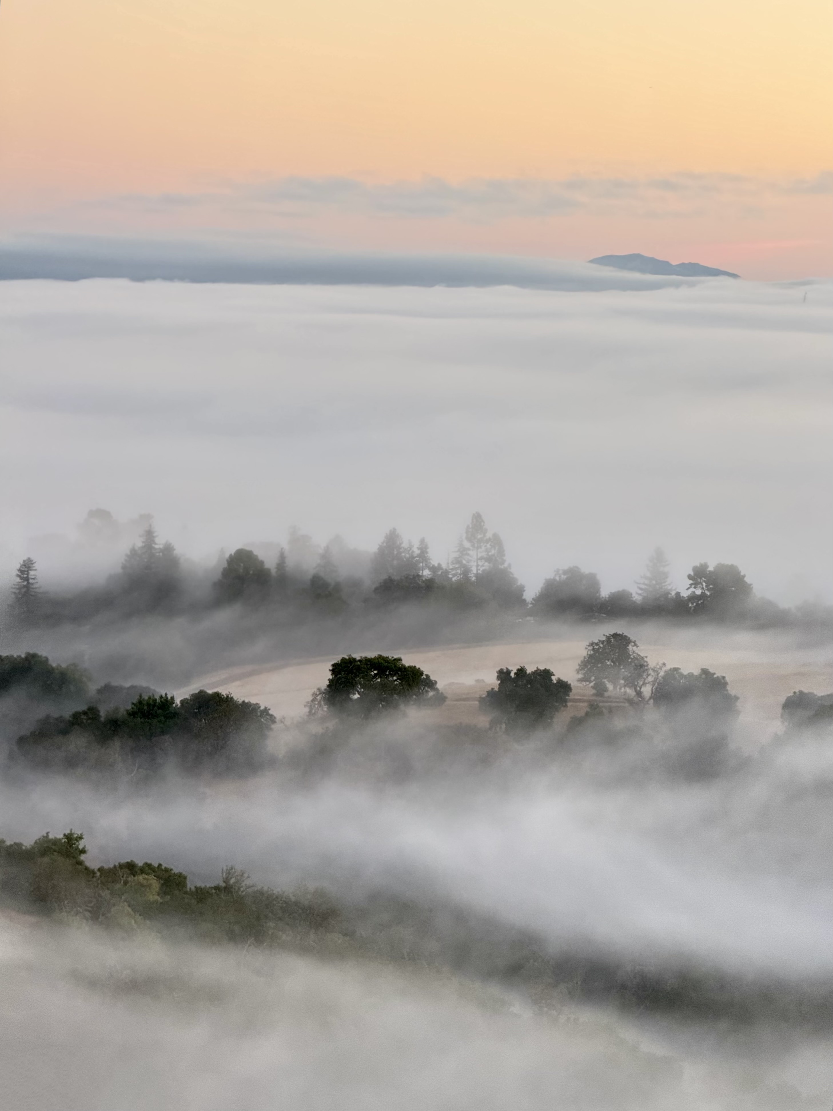 A07-Fog-RanchSanAntonio.jpeg