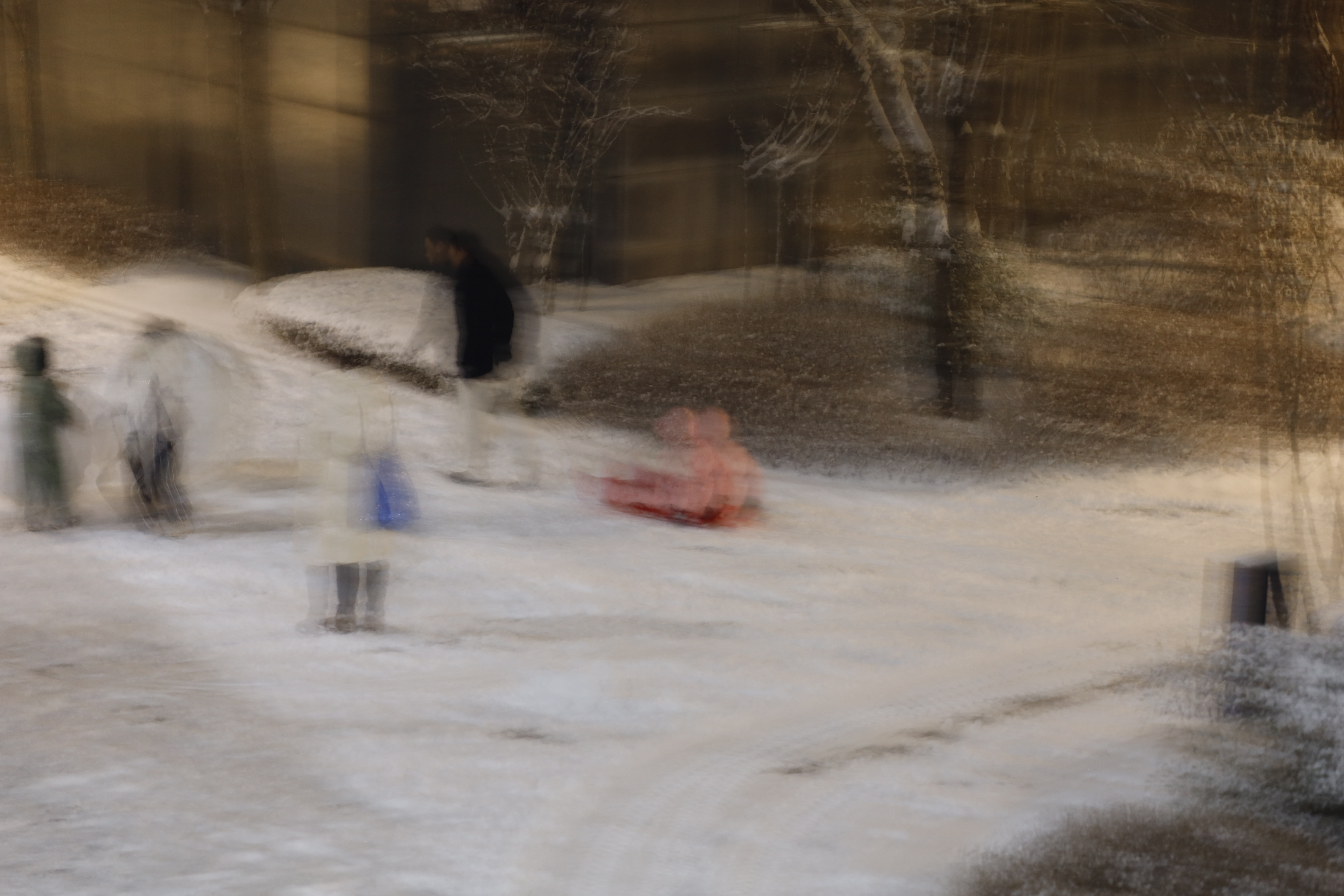 aa_0082.JPG
