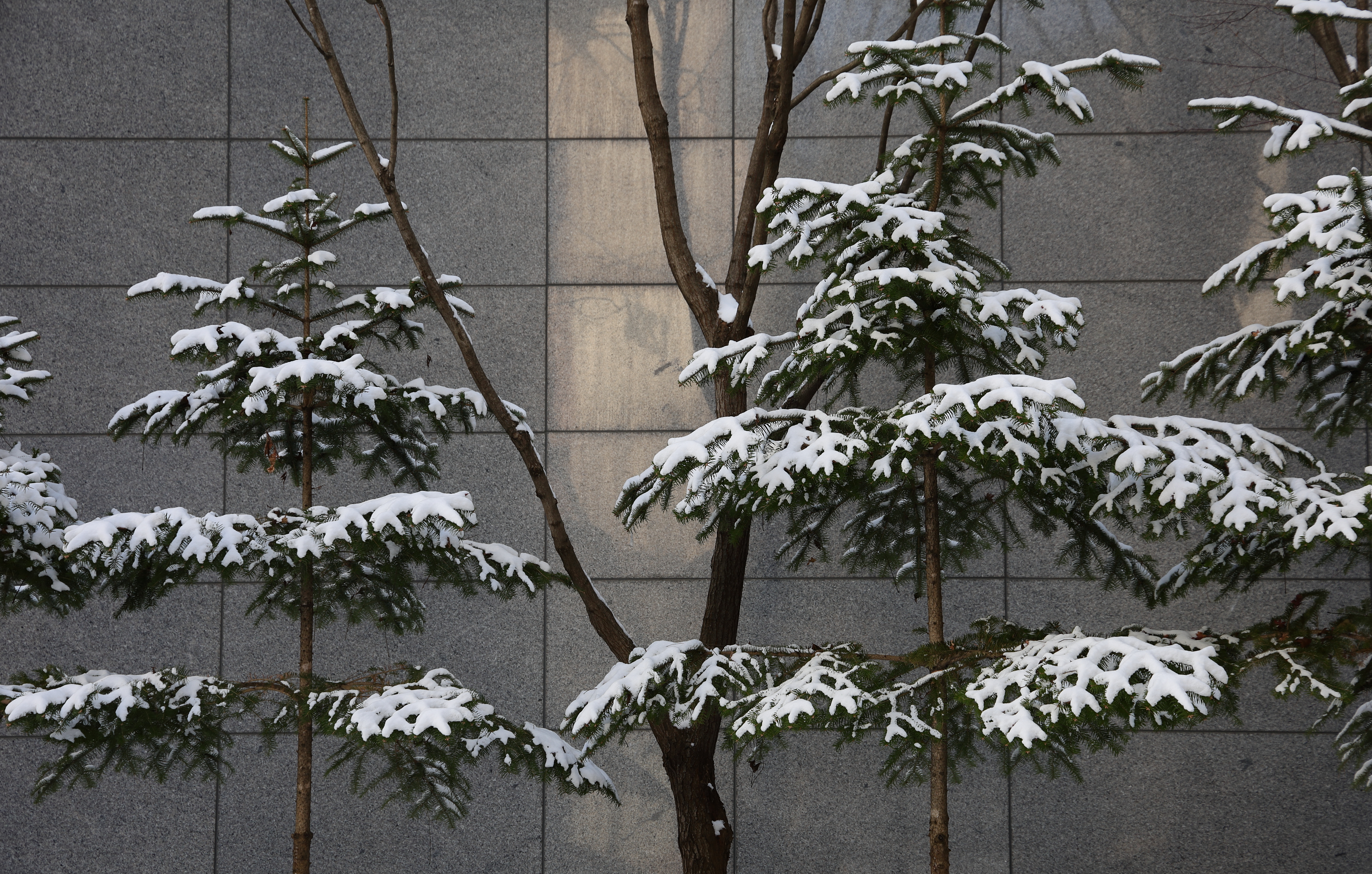 aa_0088.JPG
