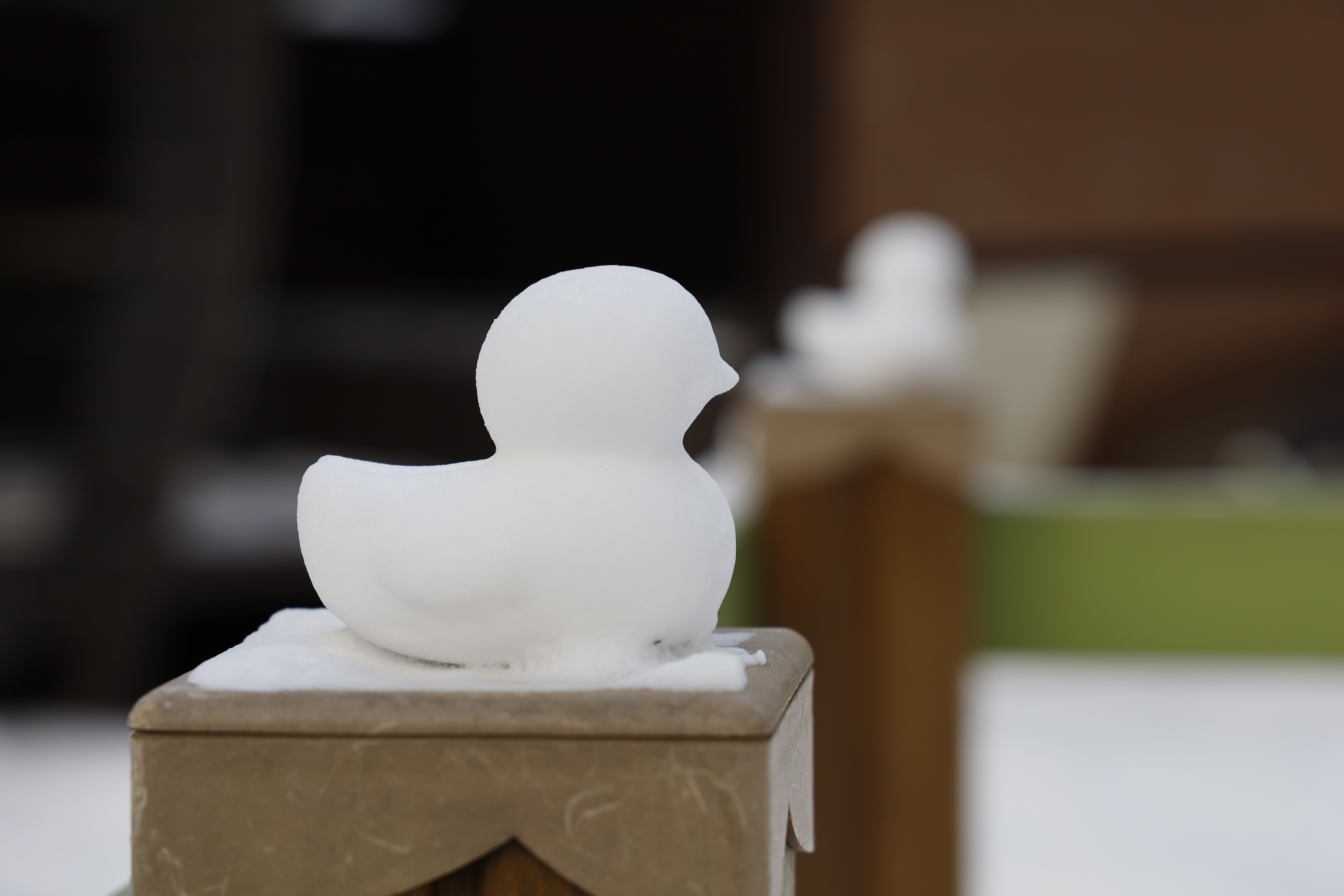 aa_0090.JPG