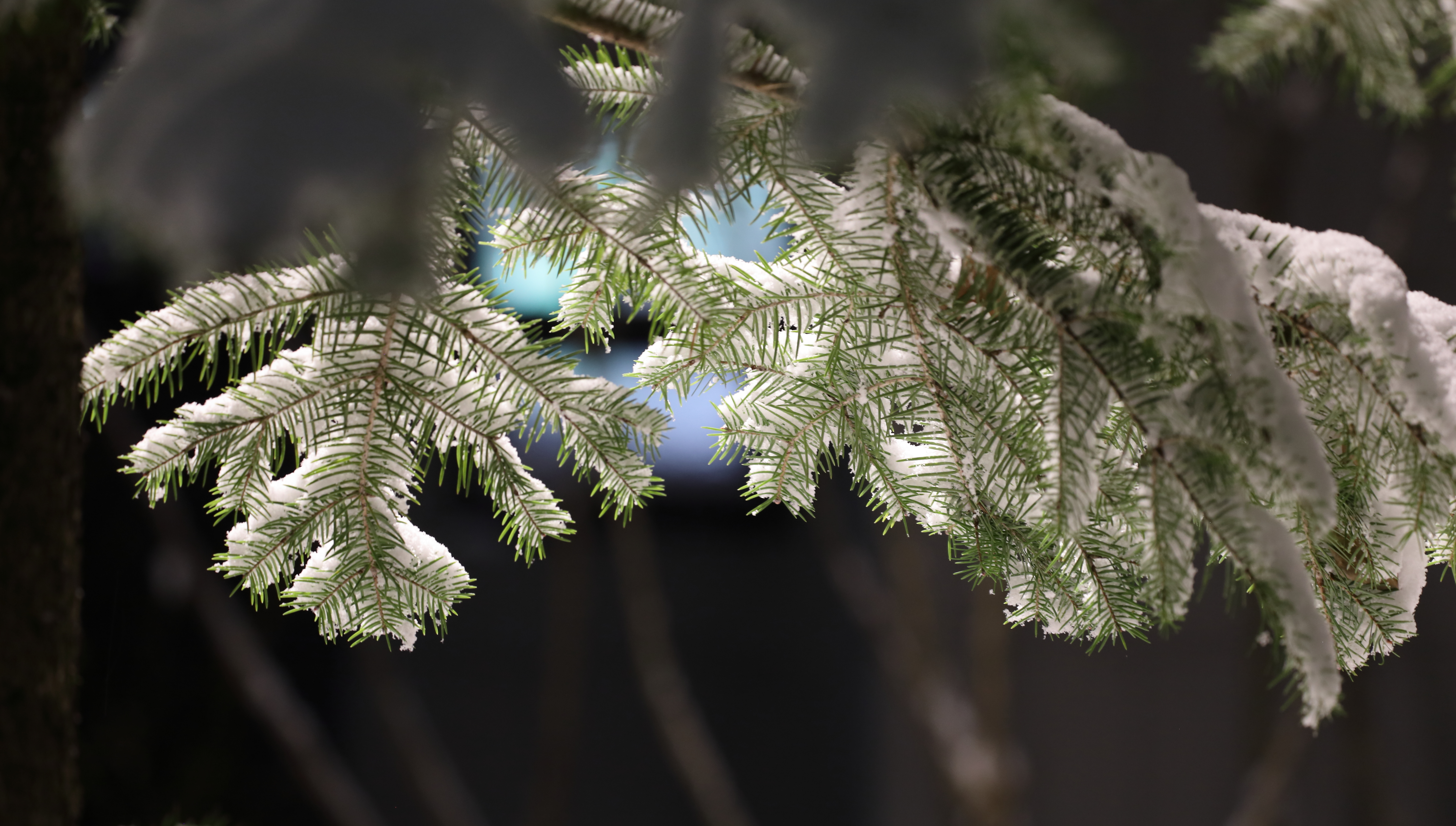 aa_0067.JPG