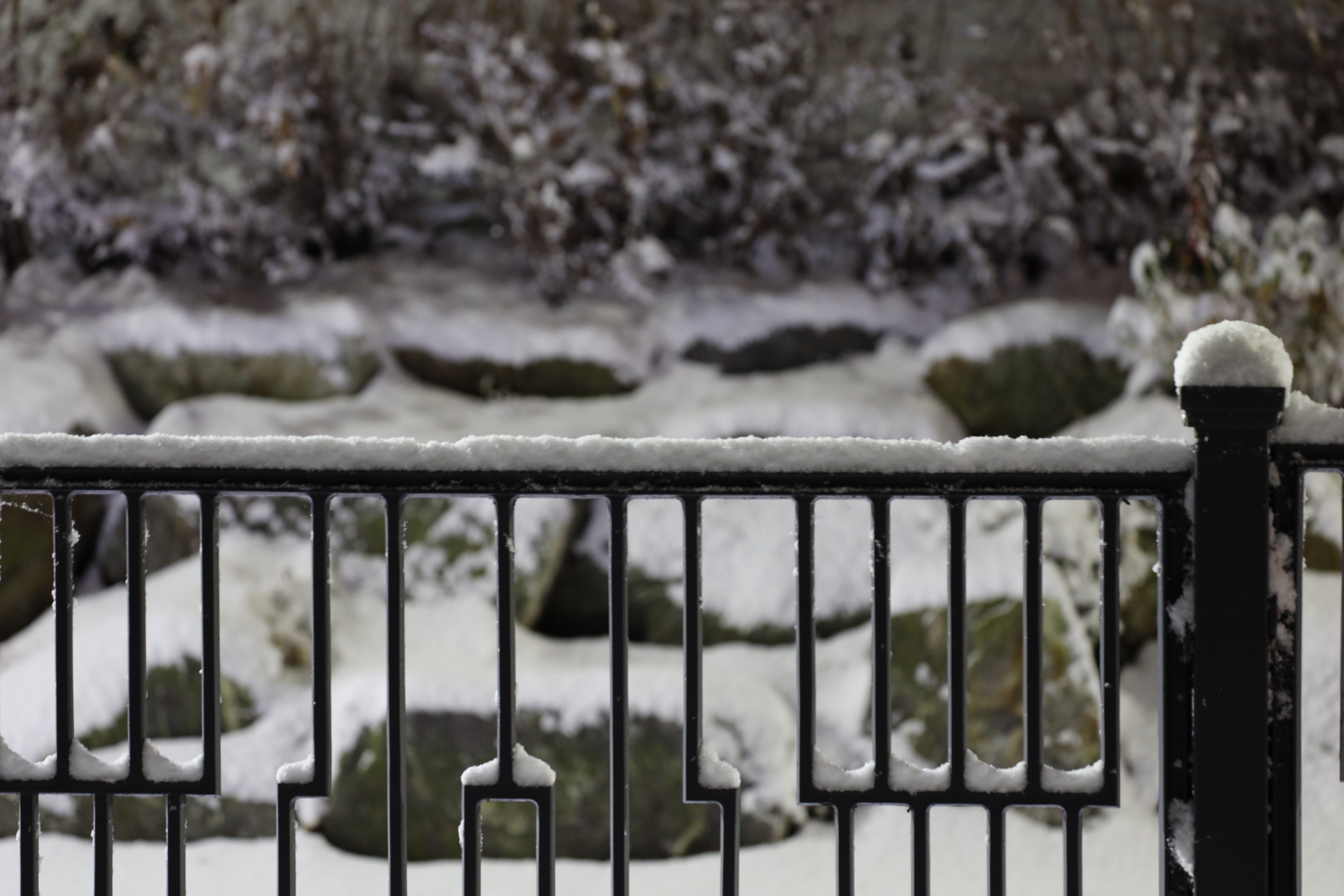 aa_0053.JPG